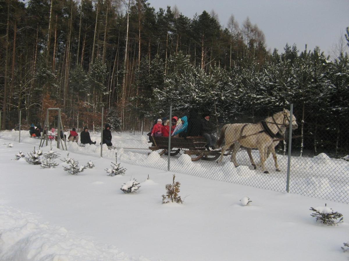 Lesny Dworek Snochowice Buitenkant foto