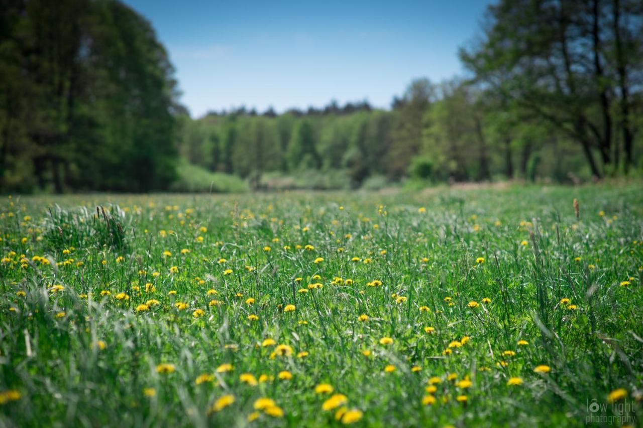 Lesny Dworek Snochowice Buitenkant foto