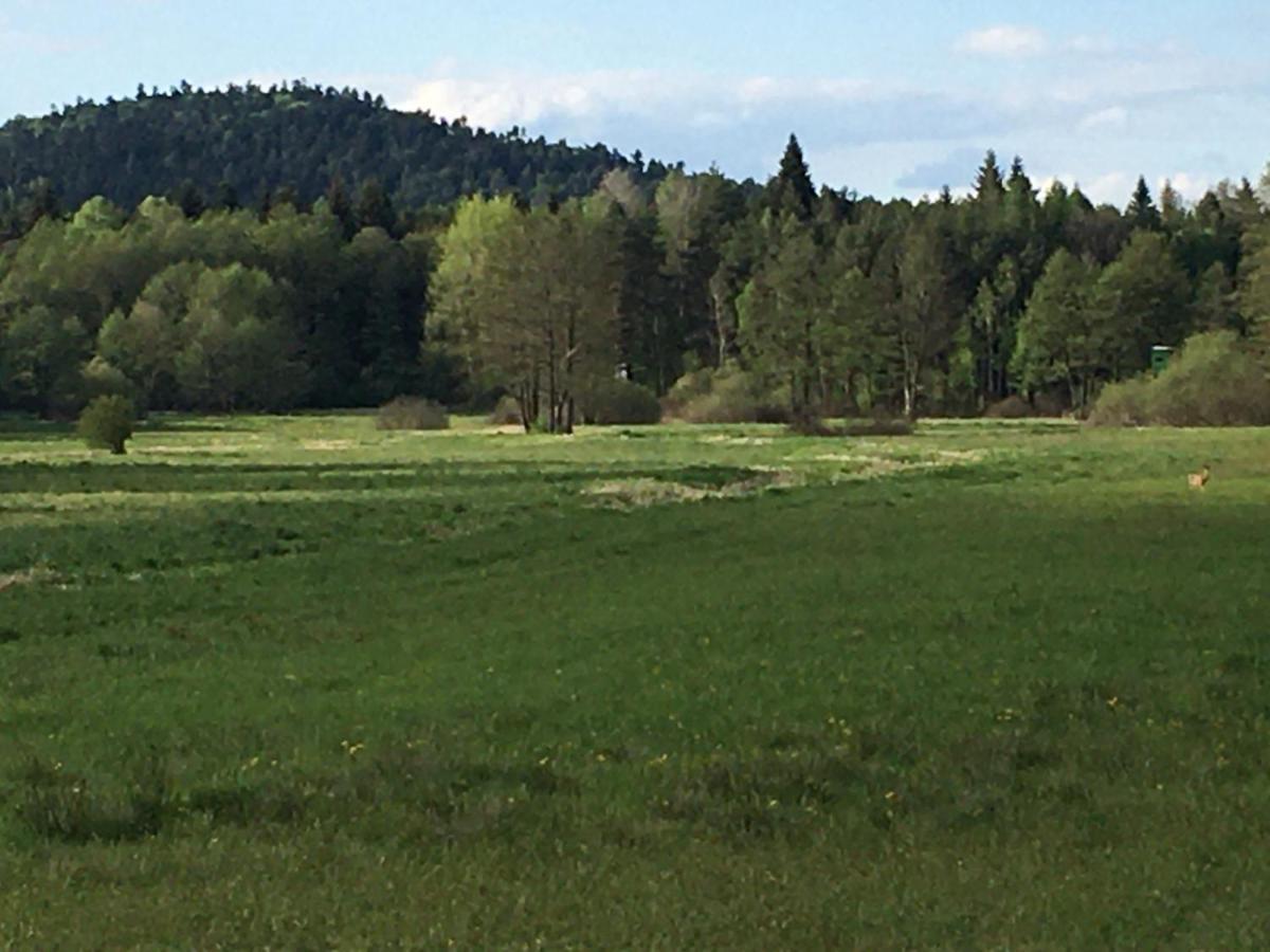 Lesny Dworek Snochowice Buitenkant foto